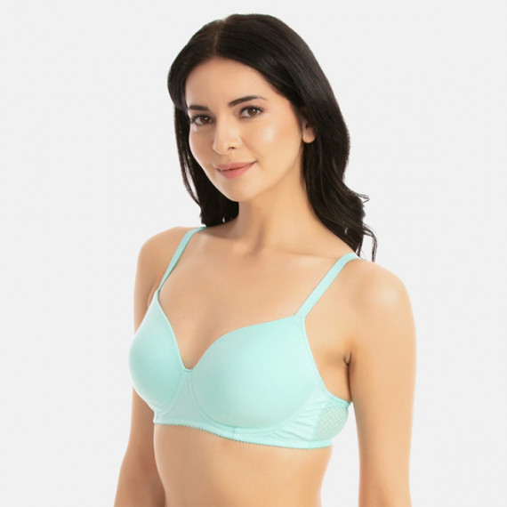 http://13.204.215.80/products/blue-solid-non-wired-lightly-padded-t-shirt-bra
